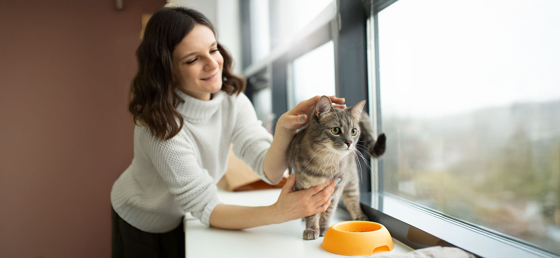 Preparativos esenciales para viajar con gatos en coche